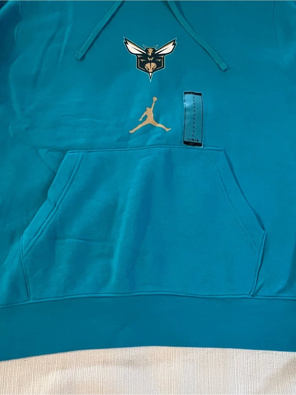 Jordan Men's 2023-24 City Edition Charlotte Hornets Club Pullover Hoodie Large